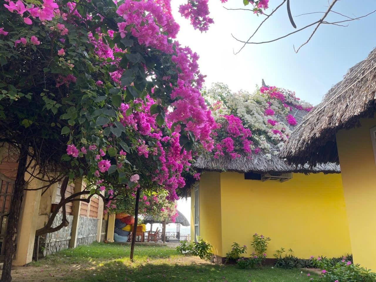 Orchid Boutique Beach Resort Phan Thiết Exteriér fotografie