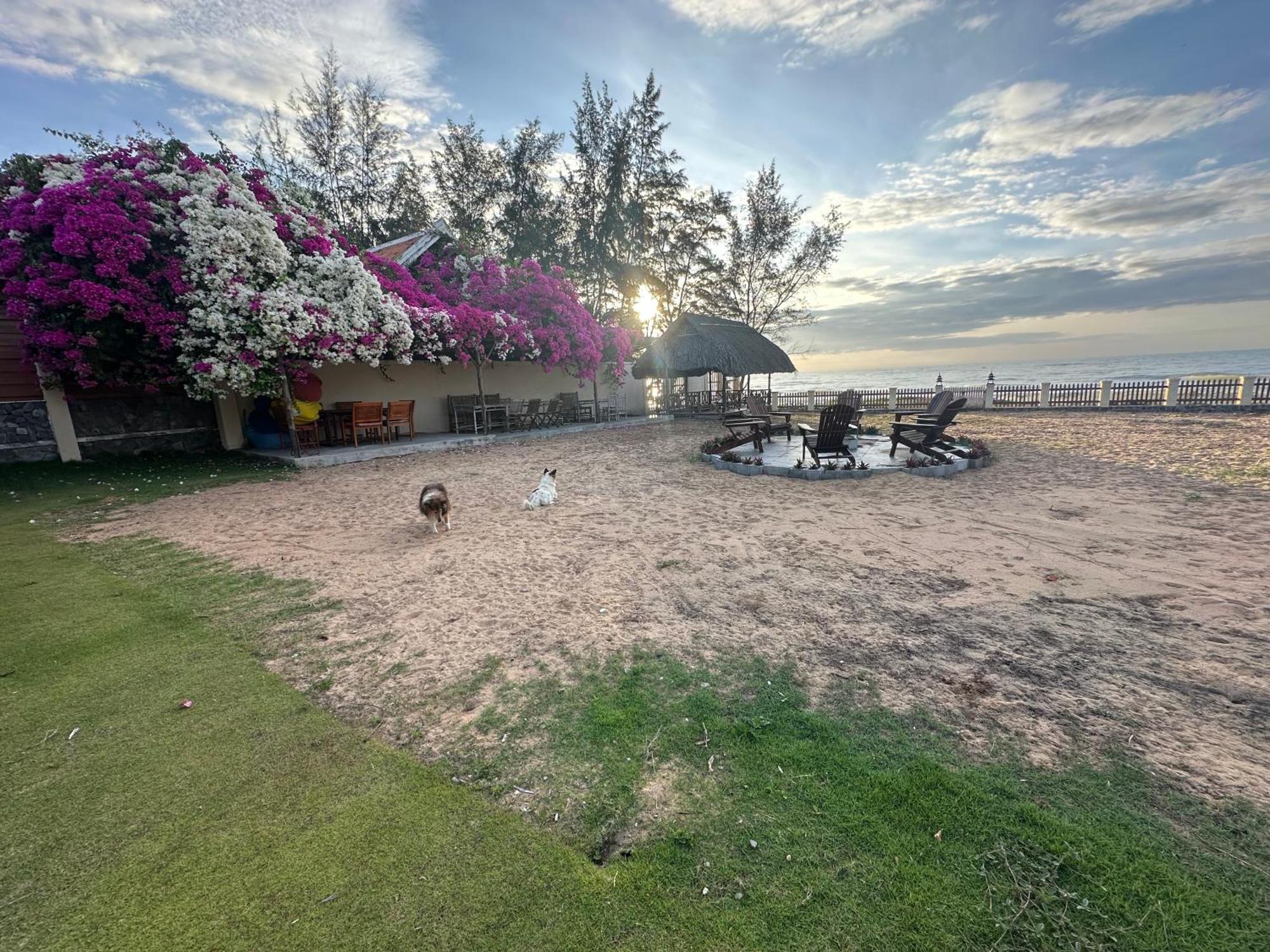 Orchid Boutique Beach Resort Phan Thiết Exteriér fotografie